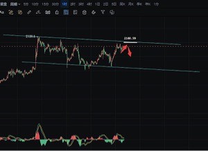 [182****4169]昨日冲高2089附近后再次承压回撤,晚间止泻于2030上方再