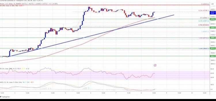 [Crypto360]比特币价格迎来新的上涨