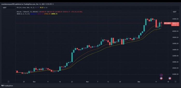 [Crypto360]Matrixport 预测比特币 2024 年将飙升，无论现货 ETF 是否获