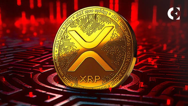 XRP 引发兴奋，兴趣激增