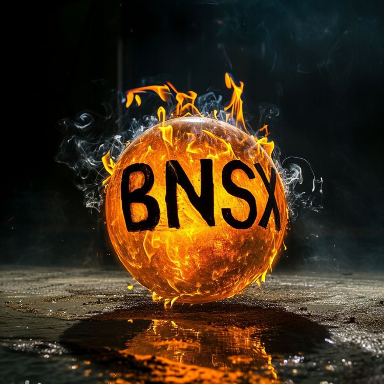 BNSX：增强Web3和比特币生态系统