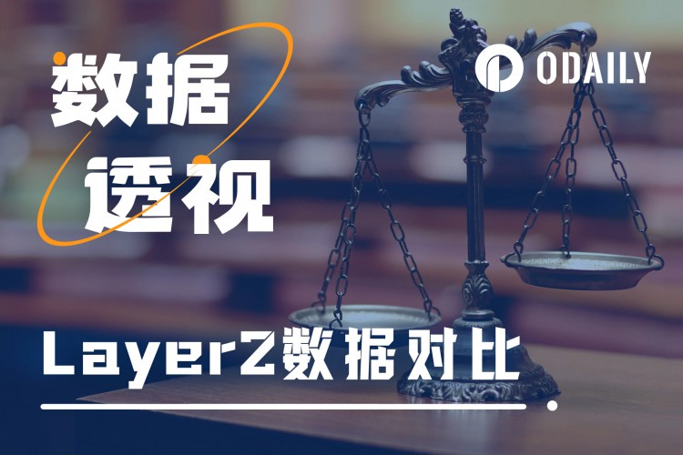 五大数据维度分析：热门新L2是否被高估