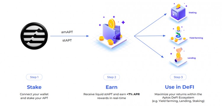 Sui 和 Aptos 生态隐藏黑马：Navi 和 Amnis 早期布局指南