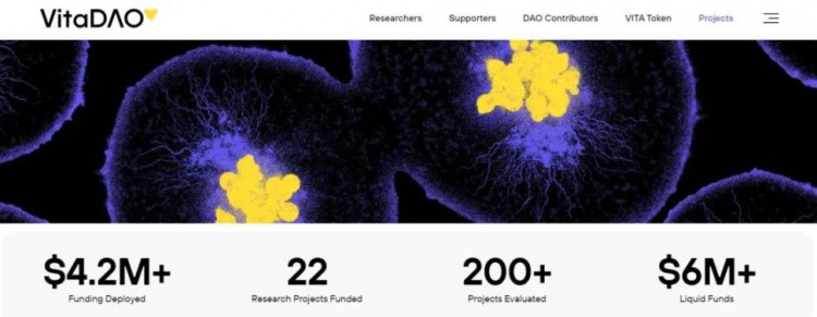 在Web3中探索Biotech项目的商业模式和可行路径