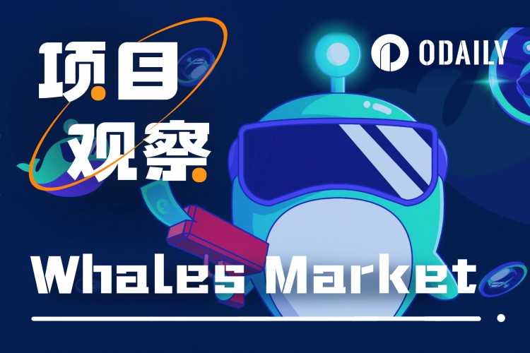 积分协议太多，很难定价和选择？Whales Market就是这样解决的