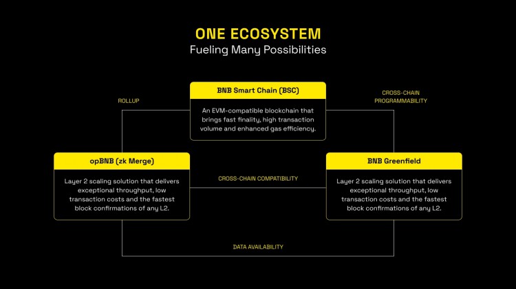 BNB Web3蓝图由Chain发布：One BNB与BSC连接、opBNB和Greenfield