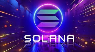 SOLANA 模因币2024最大