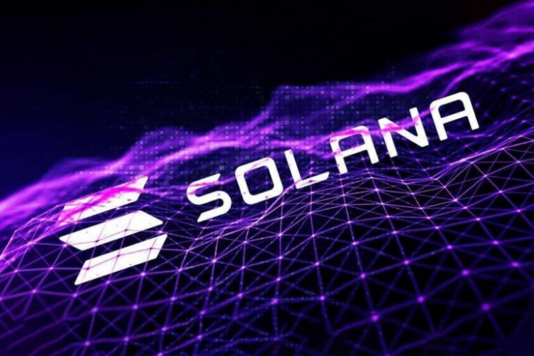 250 万 Solana (SOL) 被匿名鲸鱼转移，推动价格反弹