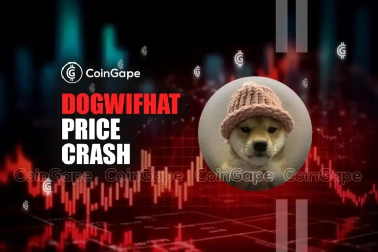 Dogwifhat 价格今天暴跌的 3 个原因