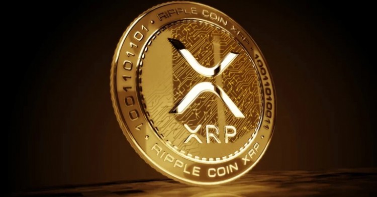 XRP币：狂野之旅