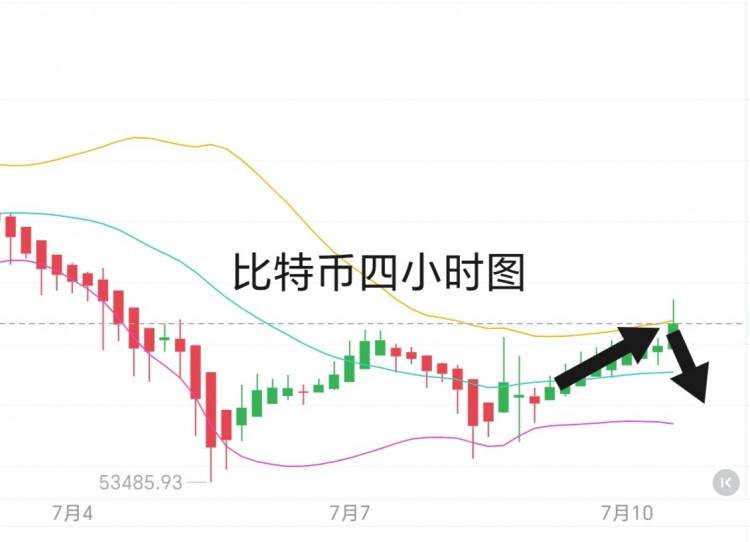 [币圈君豪]"冰封土地的蔷薇"