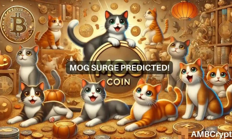 Mog Coin恢复上涨势头