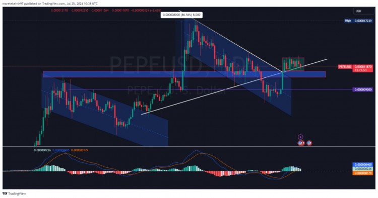 PEPE持有者获利率高达79%，盘整中仍保持关键支撑位。