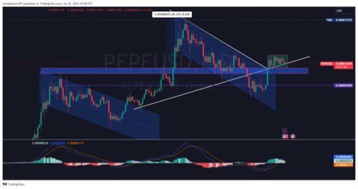 PEPE集会-你信任memcoin是对的吗？ PEPE合并上周报告了关键的支持水平