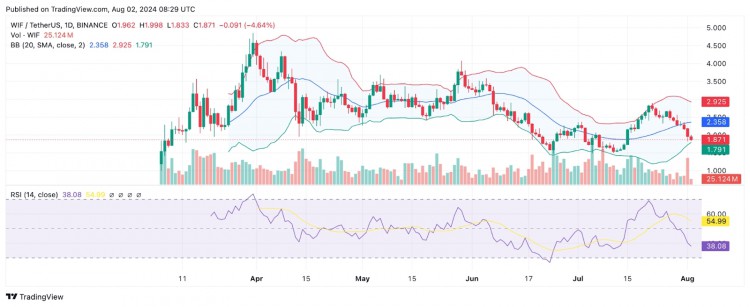 WIF价格偏差引发大跌，分析师报告显示看跌趋势