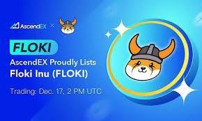 慎。Floki Inu 面临逆风，投资者转向其他币种。