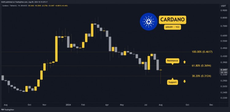 卡尔达诺(ADA)分析