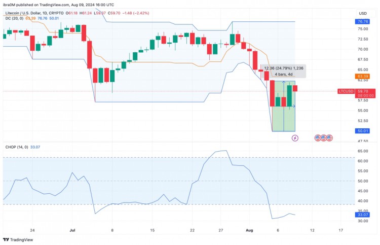 萊特幣 (LTC) 在 60 美元遭遇阻力：關鍵時刻_